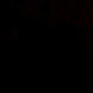 Meet your Posher, Dawson